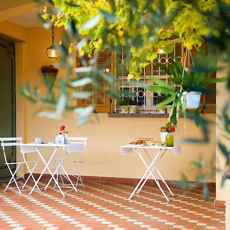 L'albero Della Vita * 切里亚莱