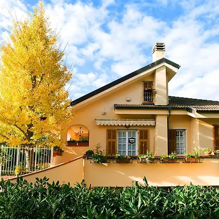 L'albero Della Vita Bed & Breakfast *