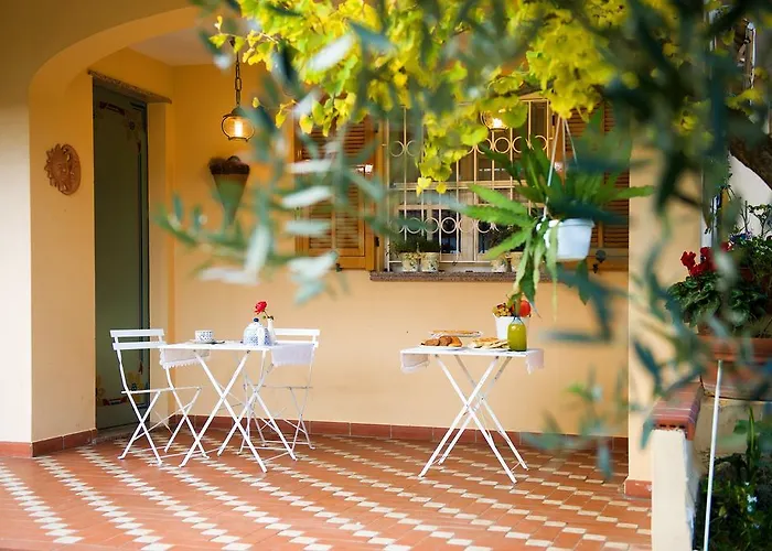 L'albero Della Vita * Ceriale